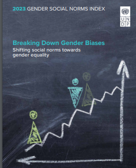 Gender Social Norms Index 2023 Breaking Down Gender Biases Shifting