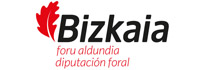 Diputación Foral de Bizkaia