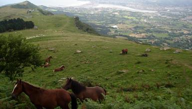 Jaizkibel mendia Jaizkibel mendia