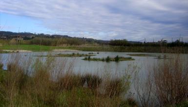 Plaiaundiko Parke Ekologikoa Plaiaundiko Parke Ekologikoa