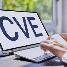 Imagen de la pantalla de un ordenador en la que aparecen las letras CVE, (Common Vulnerabilitiesand Exposures) se refiere a la lista pública de vulnerabilidades de seguridad.