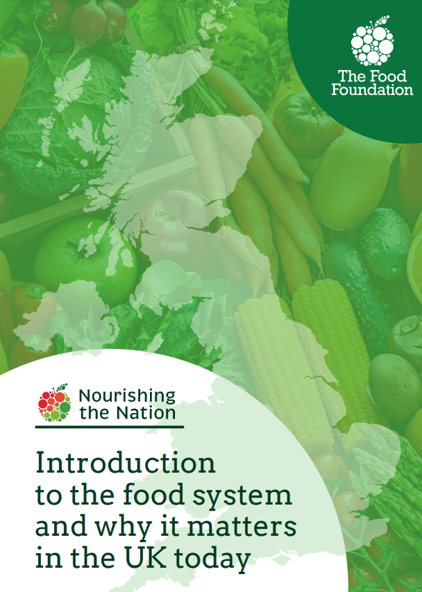 'Introduction to the food system and why it matters in the UK today (Food Foundation, 2024)' dokumentuaren azalaren erreprodukzio osoa