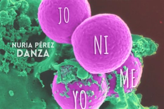 "Nijoyome" (entsegu irekia) "Nijoyome" (entsegu irekia)