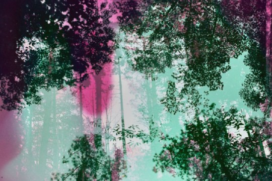 POESIA ETA IRUDIA: "ESATEKO IDATZI" POESIA ETA IRUDIA: "ESATEKO IDATZI"