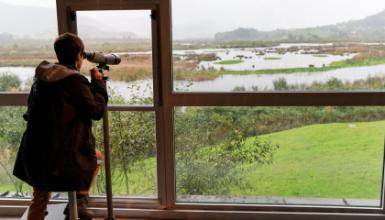 Urdaibai Bird Center en Gautegiz Arteaga (Bizkaia) | Museos en el País ...