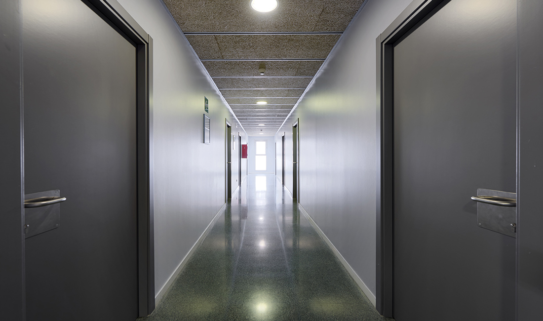 Tomas Alfaro Fournier Egoitza