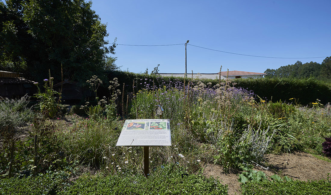 Areitz Soroa Baserri Eskola