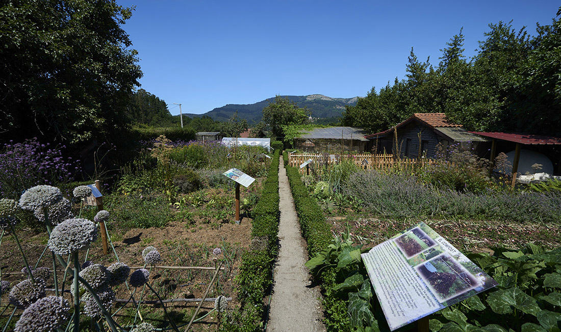 Areitz Soroa Baserri Eskola