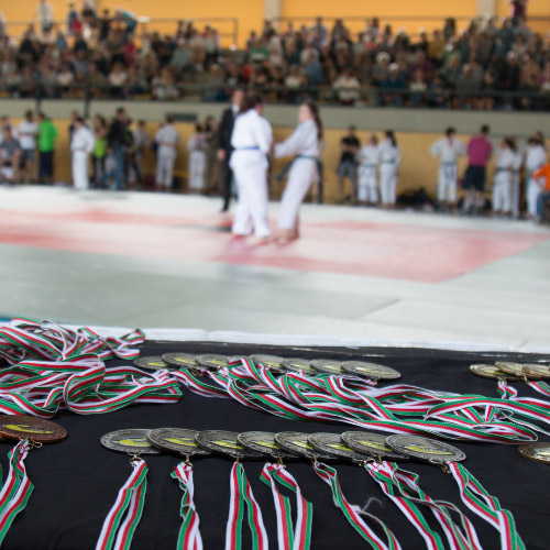 Deporte Judo
