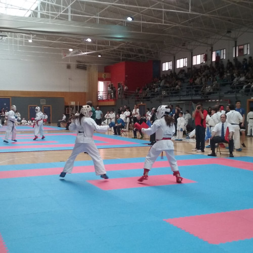 Deporte Karate