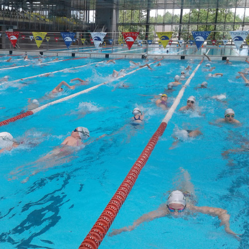 Deporte Natación