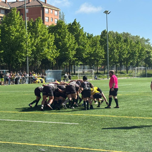 Deporte Rugby