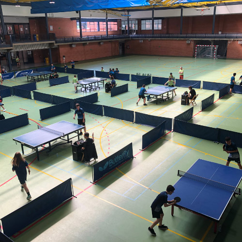 Deporte Tenis de mesa