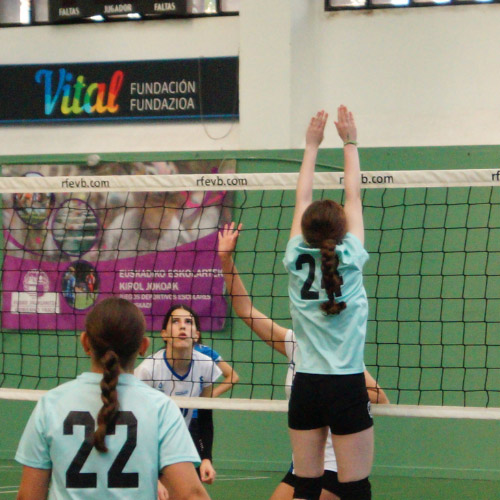 Deporte Voleibol