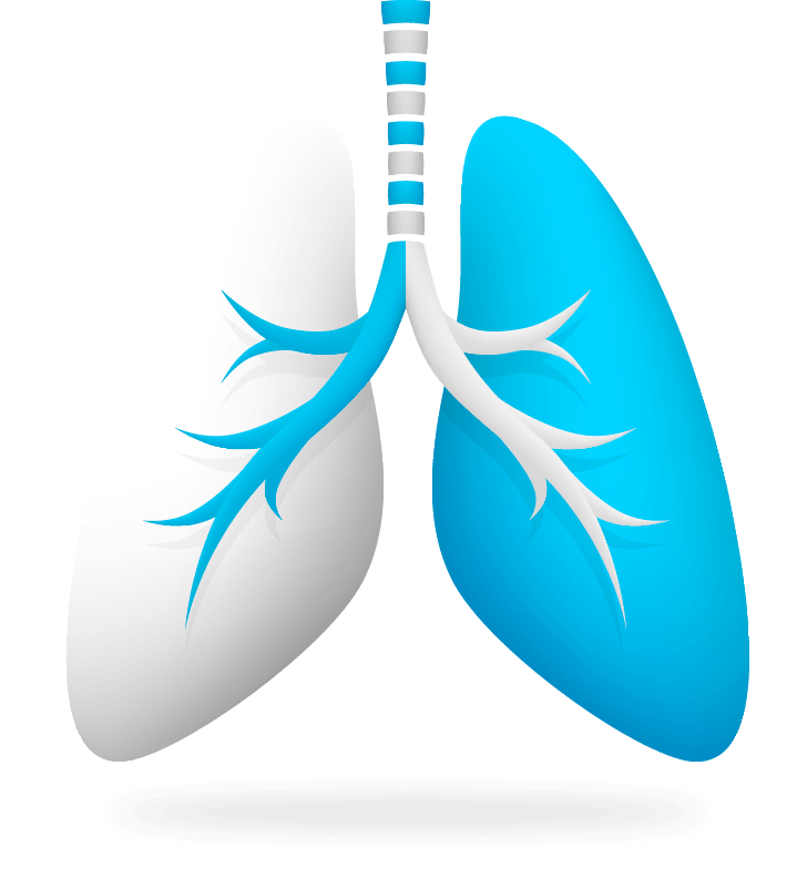 Imagen pulmon en 3D