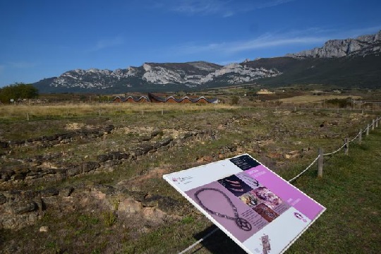 Hezurren ondarea