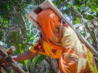 Barefoot_College_International_Zanzibar.jpg