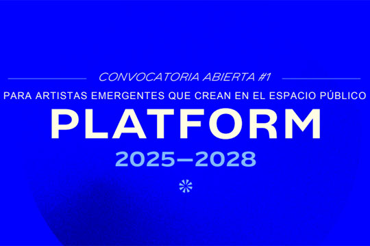 PLATFORM 2025-2028