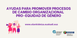 Imagen del artículo eLankidetza abre el plazo para solicitar ayudas para desarrollar planes pro-equidad de género