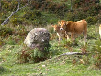 Menhir d'Usobelartza