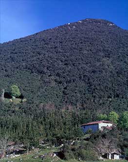 Monte Erañusarre