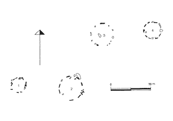 Cromlechs de Arleorko Zabala. Gráfico