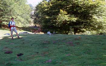 Dolmen de Arraztarangaña