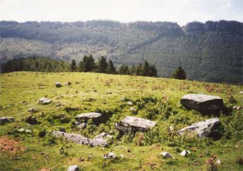 Dolmen de Argarbi