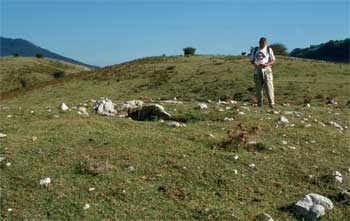 Dolmen de Uidui