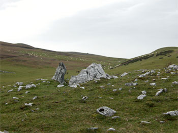 Dolmen de Igaratza Sur