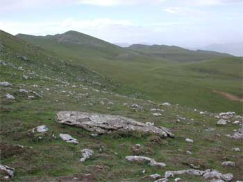 Menhir de Irazustako Lepoa