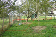 Lugar en el que se encuentra la fosa. Lugar en el que se encuentra la fosa.