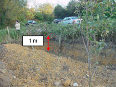 Angulo del terreno junto al cruce de caminos en el Alto de Ametzagaina. Angulo del terreno junto al cruce de caminos en el Alto de Ametzagaina.