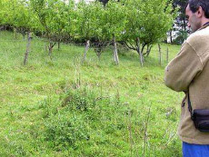 Ubicación del enterramiento. Ubicación del enterramiento.