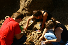 Imágenes de la exhumación ( cementerio de Asteasu ) Imágenes de la exhumación ( cementerio de Asteasu )