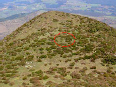 Zona en la que se encontrarían los enterramientos vista desde la proximidad de la cumbre del monte Burgüeño. Zona en la que se encontrarían los enterramientos vista desde la proximidad de la cumbre del monte Burgüeño.