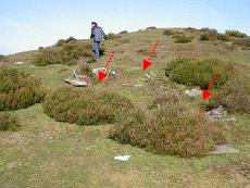 Aspecto de los enterramientos con lajas. Aspecto de los enterramientos con lajas.