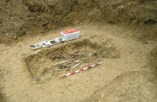 La fosa en fase de excavación. La fosa en fase de excavación.