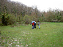 Zona de claro en el interior del bosquete Zona de claro en el interior del bosquete.