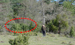 Zona de la fosa (Fosa B) en el interior del bosque. Zona de la fosa (Fosa B) en el interior del bosque.