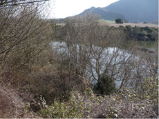 Vista de la zona de enterramientos ( Lantarón ) Vista de la zona de enterramientos ( Lantarón )