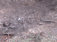 Foto de los restos recuperados de Peña Lemona. Foto de los restos recuperados de Peña Lemona..