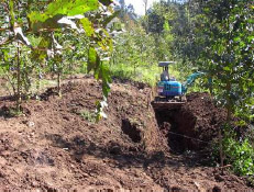 Ortofoto del
cementerio de Zallo. Cartografía de Gernika y ortofoto del cementerio de Zallo.