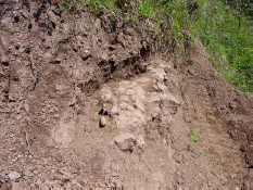 Memorial-Mausoleo en homenaje a las víctimas de Gernika (F). Memorial-Mausoleo en homenaje a las víctimas de Gernika (F).