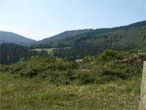 Terreno perteneciente al caserío Jauregui y próximo al mismo donde fueron inhumados los cadáveres de los combatientes ( Sopuerta ) Ubicación de los enterramientos