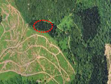 Fosa de Santa Luzia. Ortofoto Diputación Foral de Bizkaia con indicación de lugar de la fosa de Santa Luzia.