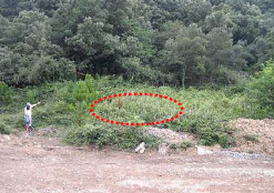 Inhumados los dos milicianos. Lugar en el que fueron inhumados los dos milicianos y estado actual del entorno.