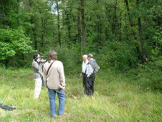 Ubicación concreta de la fosa. Ubicación concreta de la fosa.