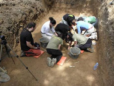 Labores de excavación. Labores de excavación.