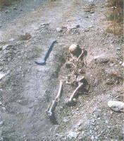 Los restos vistos “in situ”. Los restos vistos “in situ”.